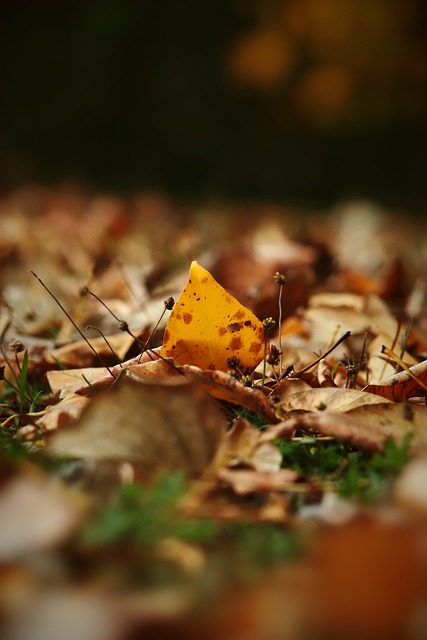 来看看普陀 来看看普陀