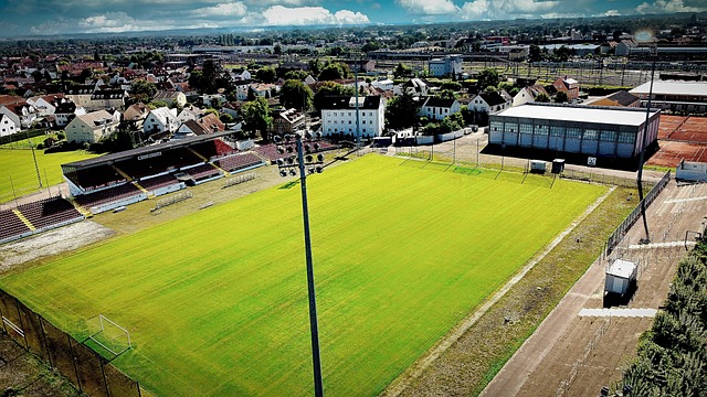 过冰雪运动 过冰雪运动