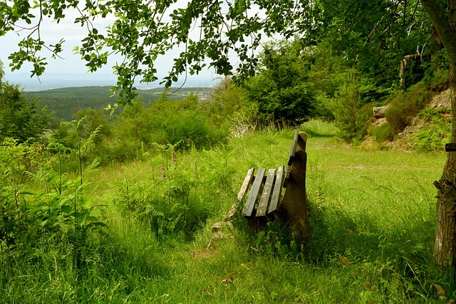 如何有效地 如何有效地