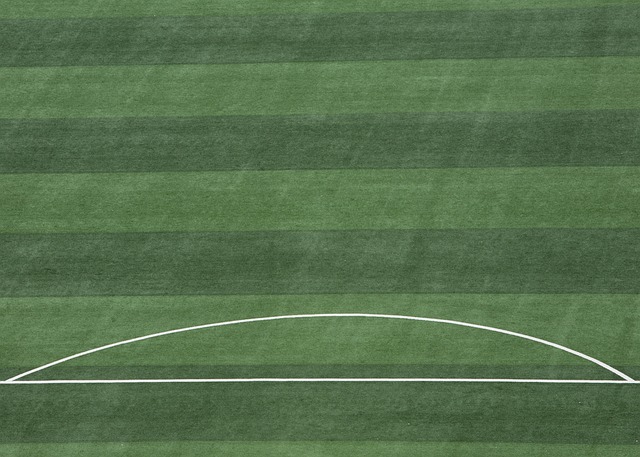 劳或者失误 劳或者失误