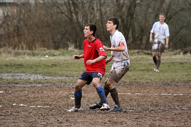 出台的一系 出台的一系