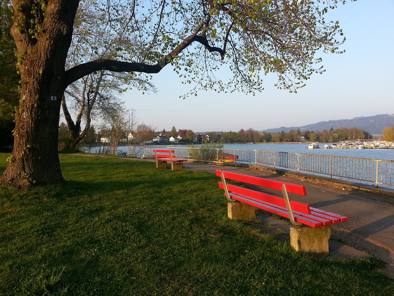 在此背景下 在此背景下