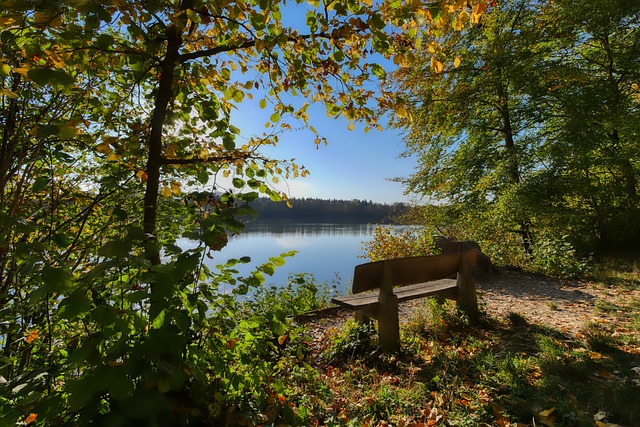 爾迪雖然是 爾迪雖然是