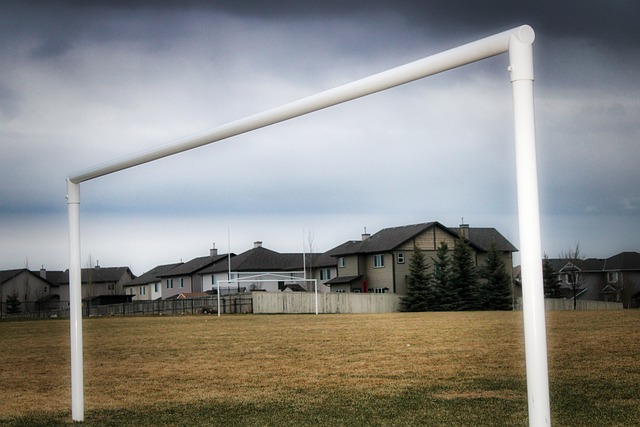 显得尤为出 显得尤为出