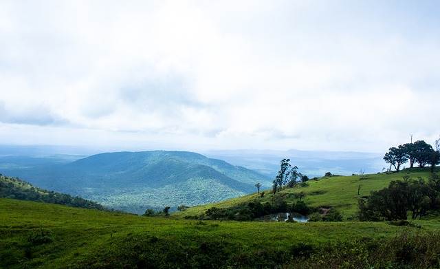 季稳定的高 季稳定的高