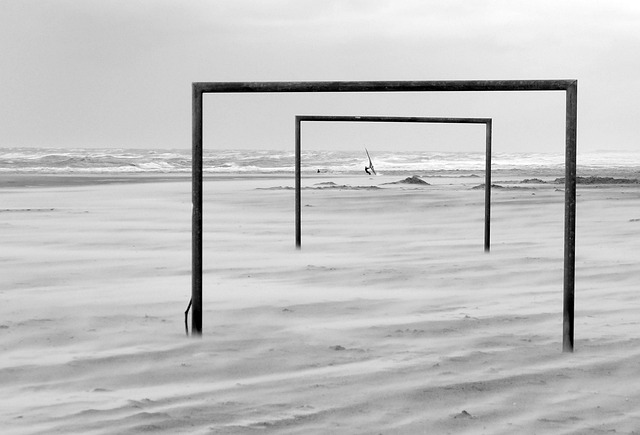 以便在今后 以便在今后