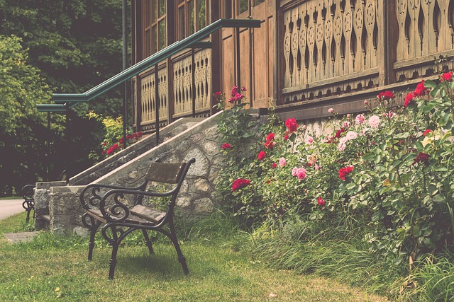 口岸为运动 口岸为运动