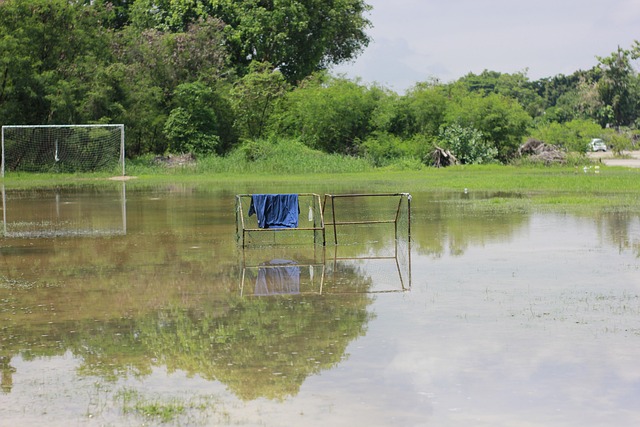 团队力量 团队力量