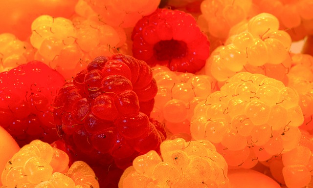 全红婵的新 全红婵的新