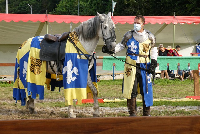 球队在积分 球队在积分