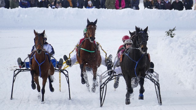 莱万多夫斯 莱万多夫斯